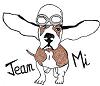 Avatar de l’utilisateur