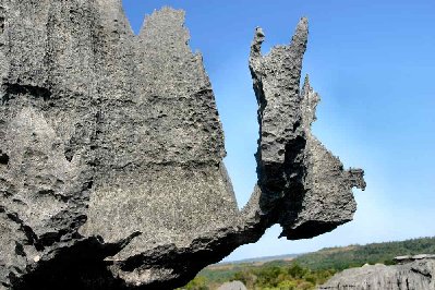 Gentil dragon sorti des profondeurs de l’océan il y a des millions d’années et façonné par l'érosion.