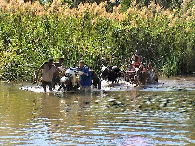 P2005-06mada-SONY204.JPG (104.66 Kio) Vu 14829 fois Traversé d’un profond marigot avant le bac sur la Mangoky..
