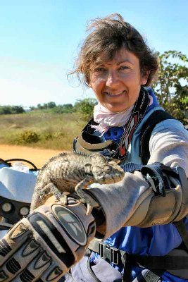 Cathy sauvant un caméléon qui traverse la piste.