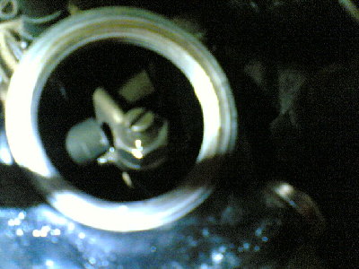 20022008(005).jpg