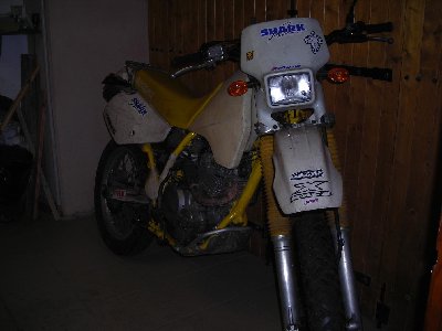 dr 5.jpg