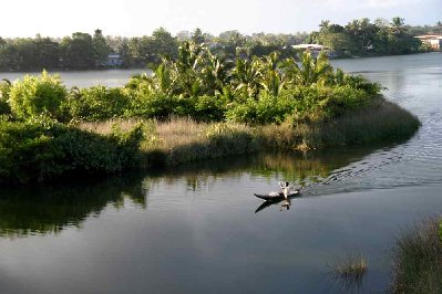 le canal des Pangalanes relie des lagunes sur plus de 600km,il est ensablé à certains endroit,dommage car cette liaison fluviale permet d'éviter la violence de l'océan et l'incertitude des voies terrestres