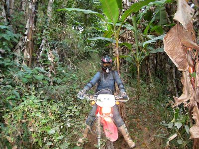 cathy dans la jungle