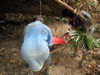 passage de la 3ème moto sous l'arbre, une sacrée suée