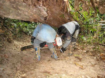 passage de la 3ème moto sous l'arbre, une sacrée suée