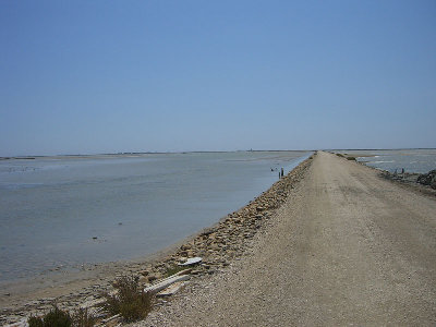 CIMG6758.JPG