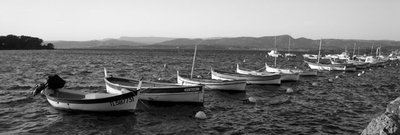 IMG_3245.jpg