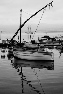 IMG_2264.jpg