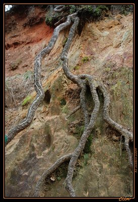 DSC_0134-border.jpg