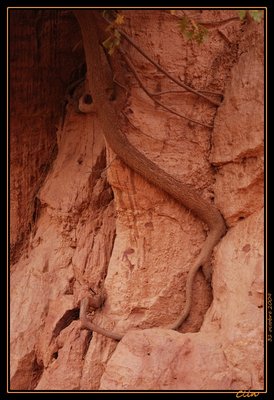 DSC_0182-border.jpg