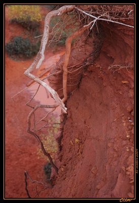 DSC_0203-border.jpg