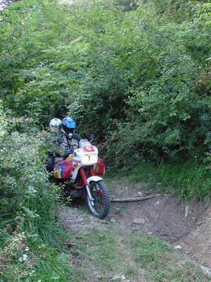 Roumanie Carpath Montagne