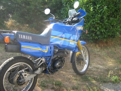 le_60010.jpg