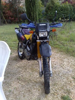 27042010277red.jpg