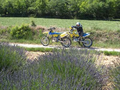 les motos, la lavande