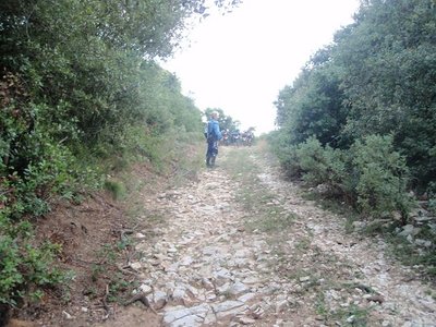 PA030713 [].JPG