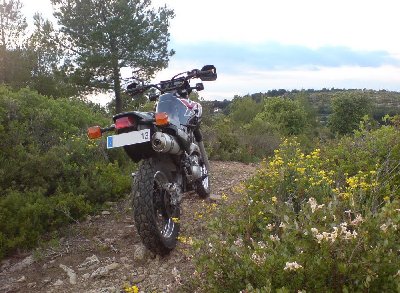 DSC00698-2.jpg