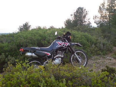DSC00700-2.jpg