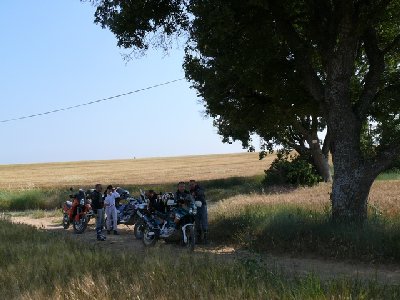 MTP_Valensole_062008_28.jpg