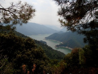 P7230172-001 (Copier).JPG