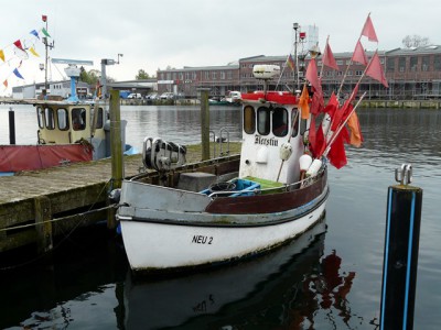 P1260246 (Copier).JPG