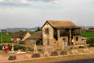 Fabrique et vente de balais dans la banlieue de Tana