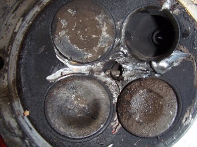 P9211322 (600 x 450).jpg
