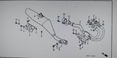 Honda-XLLM_Echappement5.jpg